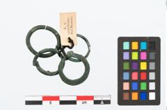 Foto von Bronzering (NHMW-PRAE-025471)
